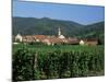 View to Village from Vineyards, Riquewihr, Haut-Rhin, Alsace, France-Ruth Tomlinson-Mounted Photographic Print