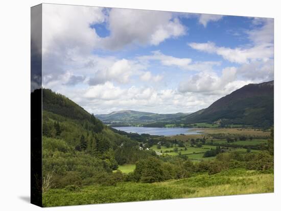 View Towards Bassenthwaite Lake from the Whinlatter Pass Road, Near Keswick, Lake District National-Lee Frost-Stretched Canvas