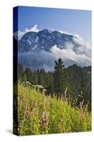 View towards Hoher Goell, Berchtesgadener Land, Upper Bavaria, Bavaria, Germany-null-Stretched Canvas