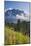 View towards Hoher Goell, Berchtesgadener Land, Upper Bavaria, Bavaria, Germany-null-Mounted Art Print