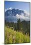 View towards Hoher Goell, Berchtesgadener Land, Upper Bavaria, Bavaria, Germany-null-Mounted Art Print