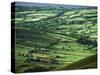 View Towards Lough Derg from Arra Mountains, County Clare, Munster, Republic of Ireland (Eire)-Adam Woolfitt-Stretched Canvas