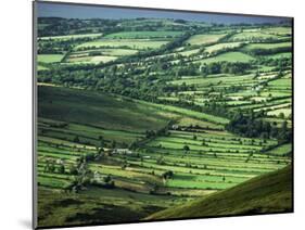 View Towards Lough Derg from Arra Mountains, County Clare, Munster, Republic of Ireland (Eire)-Adam Woolfitt-Mounted Photographic Print