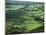 View Towards Lough Derg from Arra Mountains, County Clare, Munster, Republic of Ireland (Eire)-Adam Woolfitt-Mounted Photographic Print