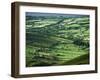 View Towards Lough Derg from Arra Mountains, County Clare, Munster, Republic of Ireland (Eire)-Adam Woolfitt-Framed Photographic Print