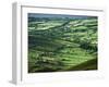 View Towards Lough Derg from Arra Mountains, County Clare, Munster, Republic of Ireland (Eire)-Adam Woolfitt-Framed Photographic Print