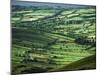 View Towards Lough Derg from Arra Mountains, County Clare, Munster, Republic of Ireland (Eire)-Adam Woolfitt-Mounted Photographic Print