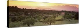 View Towards Sierra De Tramuntana Mountains, Near Muro, Majorca, Balearic Islands, Spain-John Miller-Stretched Canvas