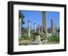 View Towards the Palaestra, Archaeological Site, Olympia, Unesco World Heritage Site, Greece-Tony Gervis-Framed Photographic Print