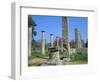 View Towards the Palaestra, Archaeological Site, Olympia, Unesco World Heritage Site, Greece-Tony Gervis-Framed Photographic Print