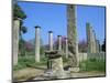 View Towards the Palaestra, Archaeological Site, Olympia, Unesco World Heritage Site, Greece-Tony Gervis-Mounted Photographic Print