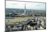 View towards the Shard from the Sky Garden, London, EC3, England, United Kingdom, Europe-Ethel Davies-Mounted Photographic Print