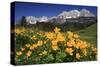 View towards the Wilder Kaiser Mountain Range, Tyrol, Austria-null-Stretched Canvas