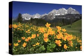 View towards the Wilder Kaiser Mountain Range, Tyrol, Austria-null-Stretched Canvas