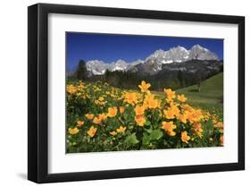 View towards the Wilder Kaiser Mountain Range, Tyrol, Austria-null-Framed Art Print