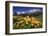 View towards the Wilder Kaiser Mountain Range, Tyrol, Austria-null-Framed Art Print