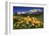 View towards the Wilder Kaiser Mountain Range, Tyrol, Austria-null-Framed Art Print