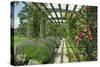 View Westwards Along the Pergola, Designed in C.1904-10-null-Stretched Canvas