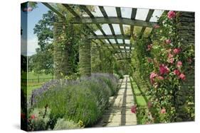 View Westwards Along the Pergola, Designed in C.1904-10-null-Stretched Canvas