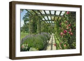 View Westwards Along the Pergola, Designed in C.1904-10-null-Framed Giclee Print