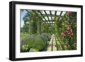 View Westwards Along the Pergola, Designed in C.1904-10-null-Framed Giclee Print