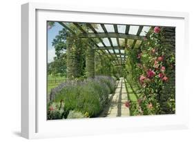 View Westwards Along the Pergola, Designed in C.1904-10-null-Framed Giclee Print