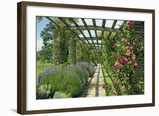 View Westwards Along the Pergola, Designed in C.1904-10-null-Framed Giclee Print