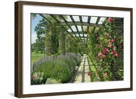 View Westwards Along the Pergola, Designed in C.1904-10-null-Framed Giclee Print