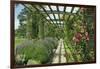 View Westwards Along the Pergola, Designed in C.1904-10-null-Framed Giclee Print