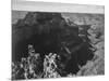 View With Rock Formation Different Angle "Grand Canyon National Park" Arizona. 1933-1942-Ansel Adams-Mounted Art Print