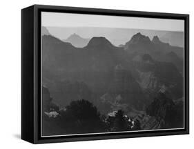 View With Shrub Detail In Foreground "Grand Canyon National Park" Arizona. 1933-1942-Ansel Adams-Framed Stretched Canvas