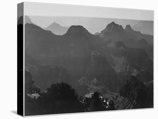 View With Shrub Detail In Foreground "Grand Canyon National Park" Arizona. 1933-1942-Ansel Adams-Stretched Canvas