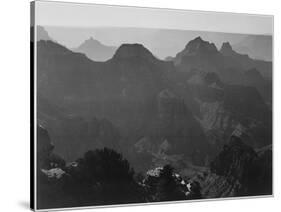 View With Shrub Detail In Foreground "Grand Canyon National Park" Arizona. 1933-1942-Ansel Adams-Stretched Canvas