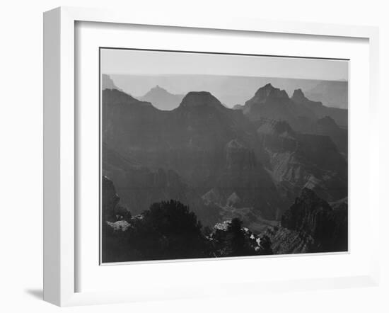 View With Shrub Detail In Foreground "Grand Canyon National Park" Arizona. 1933-1942-Ansel Adams-Framed Art Print