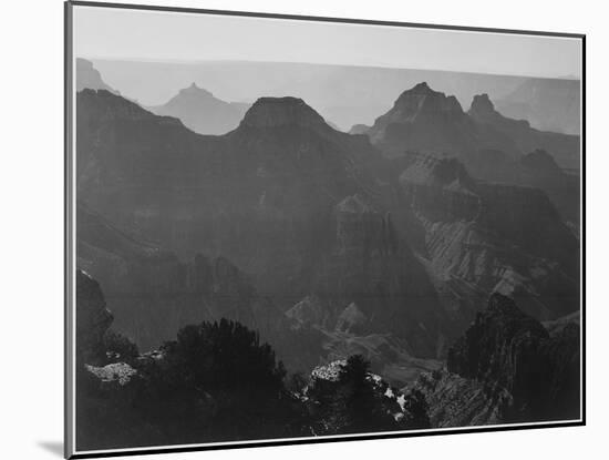 View With Shrub Detail In Foreground "Grand Canyon National Park" Arizona. 1933-1942-Ansel Adams-Mounted Art Print
