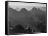 View With Shrub Detail In Foreground "Grand Canyon National Park" Arizona. 1933-1942-Ansel Adams-Framed Stretched Canvas