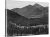 View With Trees In Foreground Barren Mountains In Bkgd "In Rocky Mountain NP" Colorado 1933-1942-Ansel Adams-Stretched Canvas