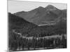 View With Trees In Foreground Barren Mountains In Bkgd "In Rocky Mountain NP" Colorado 1933-1942-Ansel Adams-Mounted Art Print