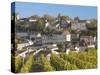 View with Unesco-Listed Vineyards, St-Emilion, Gironde Department, Aquitaine Region, France-Walter Bibikow-Stretched Canvas