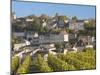 View with Unesco-Listed Vineyards, St-Emilion, Gironde Department, Aquitaine Region, France-Walter Bibikow-Mounted Photographic Print