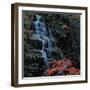 View-WizData-Framed Photographic Print