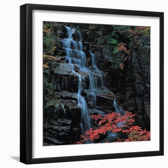 View-WizData-Framed Photographic Print