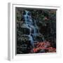 View-WizData-Framed Photographic Print