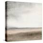 View-Ann Bailey-Stretched Canvas