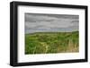 Viewing across some of the Flint Hills in Kansas-Michael Scheufler-Framed Photographic Print