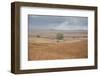 Viewing across some of the hills of Kansas-Michael Scheufler-Framed Photographic Print