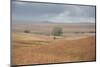 Viewing across some of the hills of Kansas-Michael Scheufler-Mounted Photographic Print