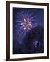 Viewing Fireworks-April Hartmann-Framed Giclee Print