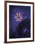 Viewing Fireworks-April Hartmann-Framed Giclee Print