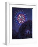 Viewing Fireworks-April Hartmann-Framed Giclee Print